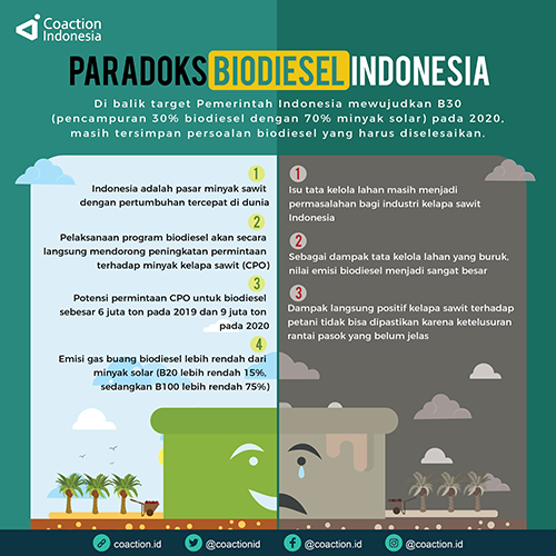 Paradoks Biodiesel Indonesia - Koaksi Indonesia