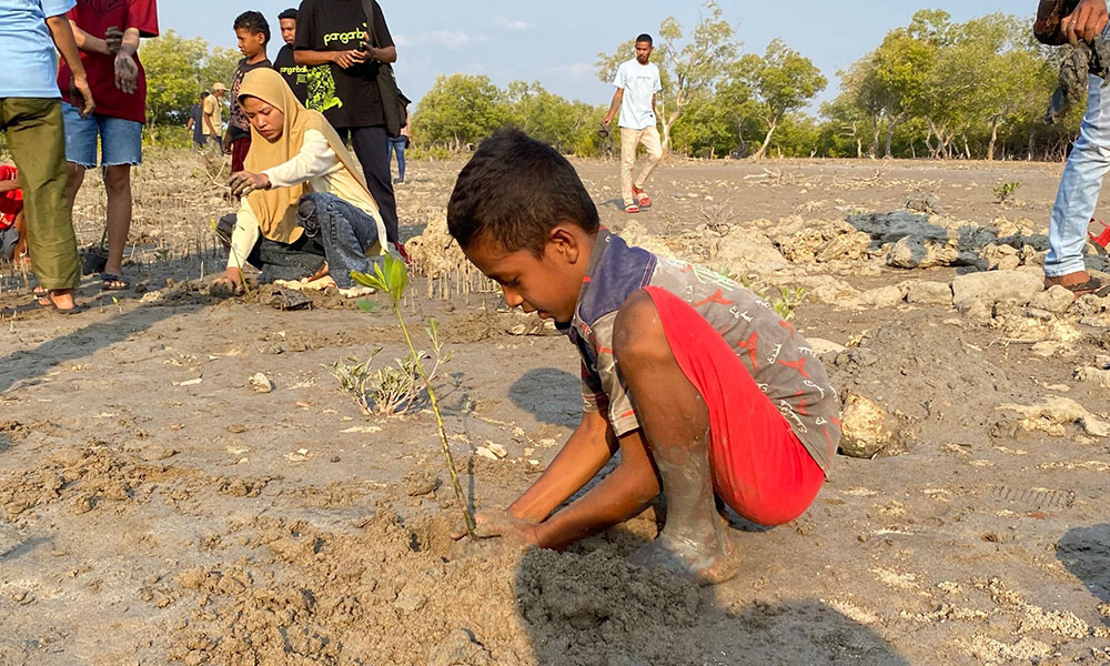 Seorang anak warga Desa Tanah Merah sedang mananam bibit mangrove/Panitia PRF 2023