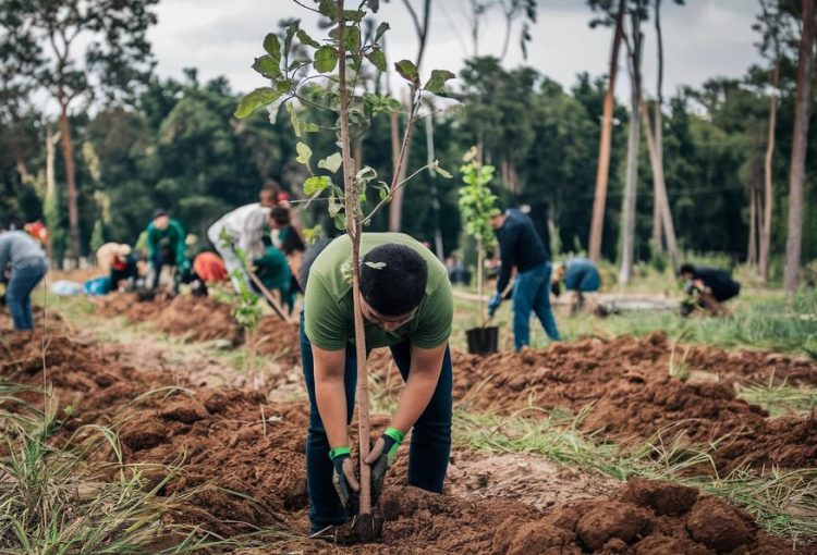 Aksi Nyata Kita untuk Bumi Indonesia