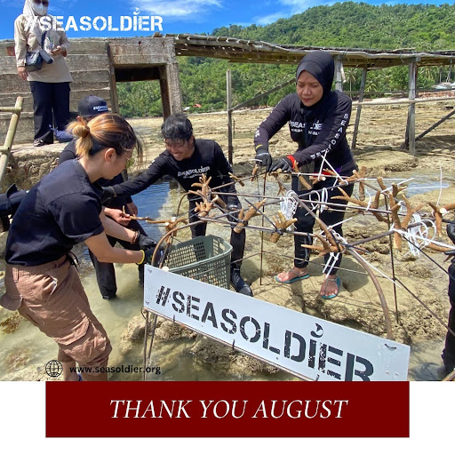 Kegiatan budi daya terumbu karang/Instagram: @seasoldier_