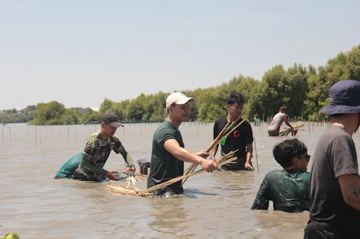 Kegiatan menanam mangrove/Instagram: @goforest.jatim