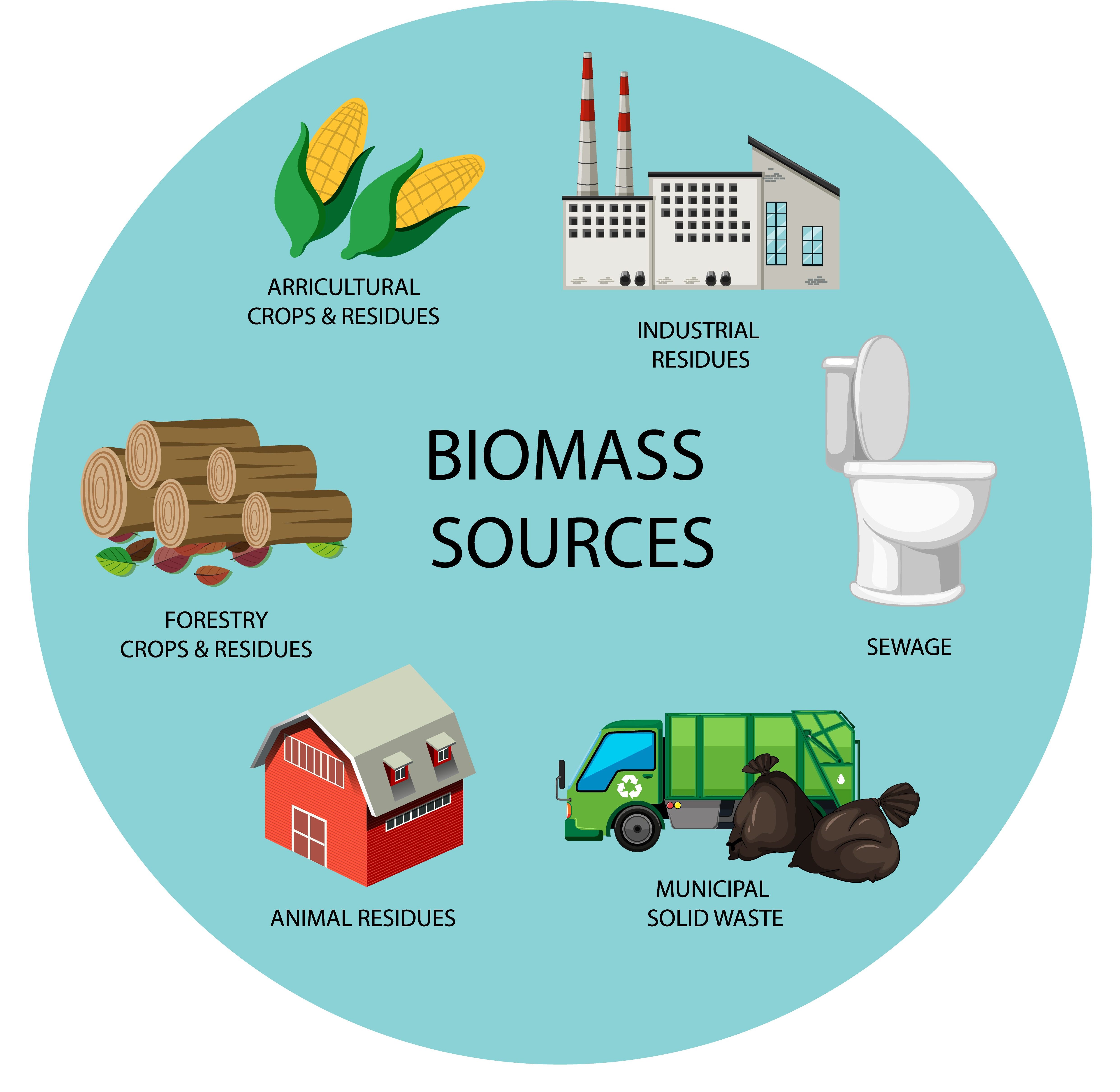 Ilustrasi berbagai bahan baku bioenergi/Freepik