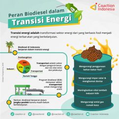 Peran Biodiesel dalam Transisi Energi