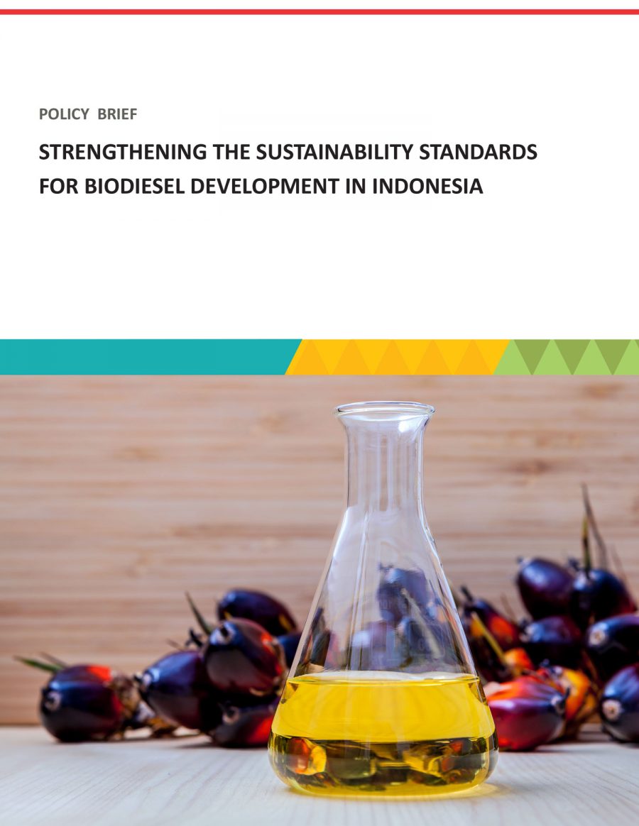 Policy Brief: Strengthening The Sustainability Standards for Biodiesel Development in Indonesia
